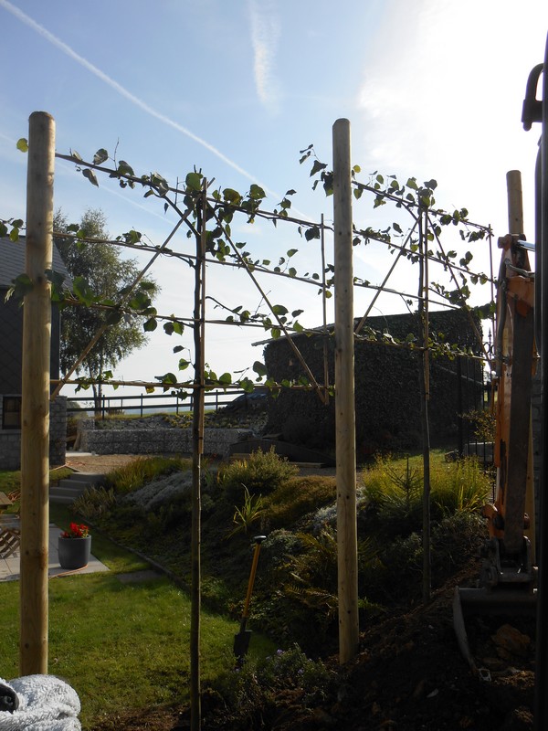 Murs En Gabion Espaliers Parcs Et Jardins Jean Marc Thonard murs-en-gabion-espaliers-parcs-et-jardins-jean-marc-thonard